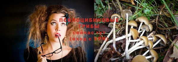 МДПВ Балабаново