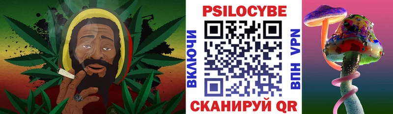 Псилоцибиновые грибы GOLDEN TEACHER Почеп